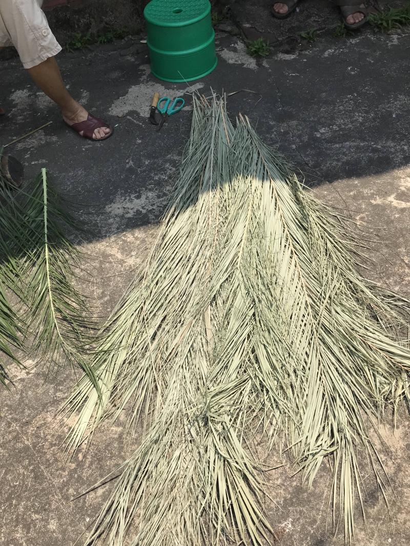槺榔掃帚的製作素材