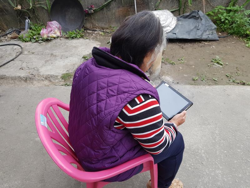 查一查今天農產交易的行情