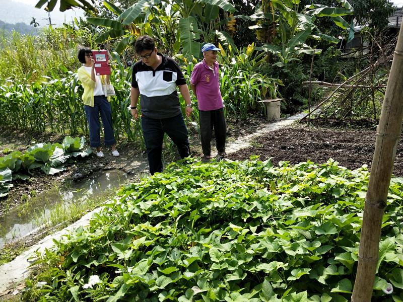實地至學員家中的小型開心農場拍攝及介紹