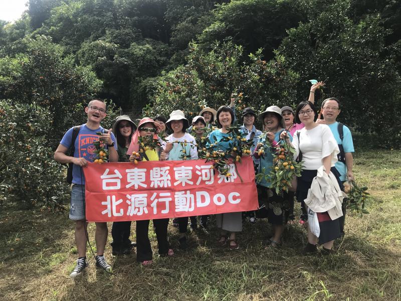 肚臍橙果園合拍