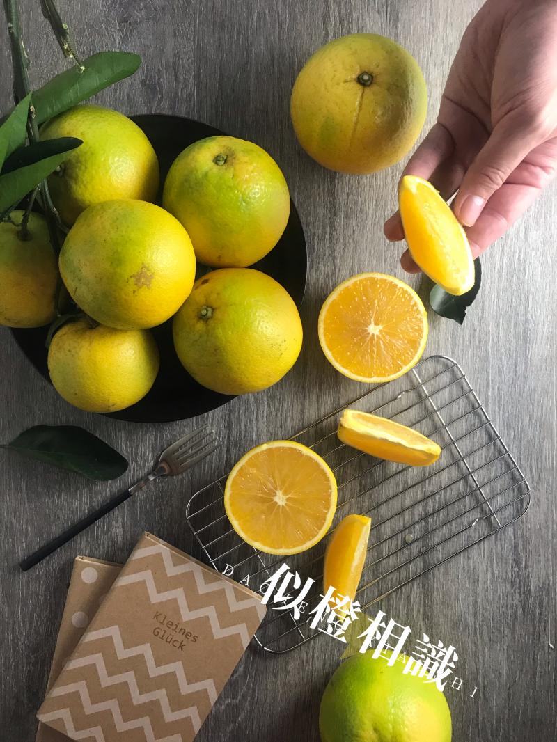 室內拍農特產品