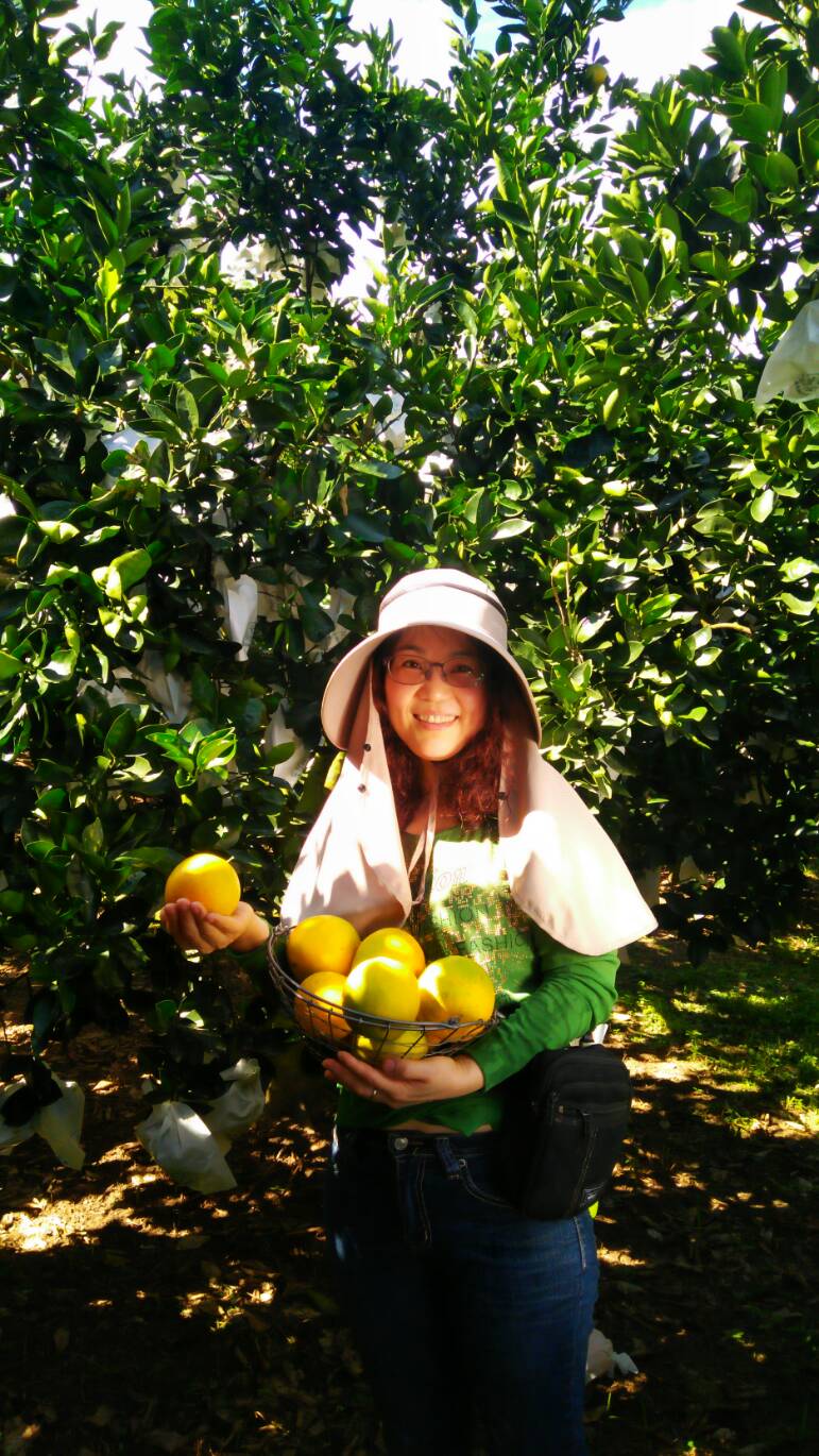 拍照經果專家指引後就是不一樣