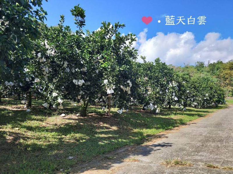 藍天白雲  青山綠水好棒的構圖