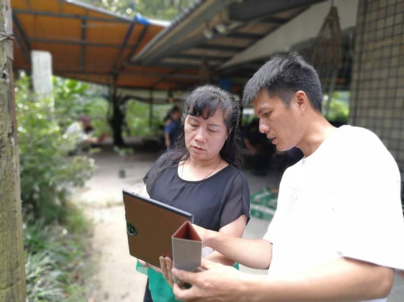 利用平板下載植物鑑識APP！畫面大又清楚！媽媽看得很仔細喔！