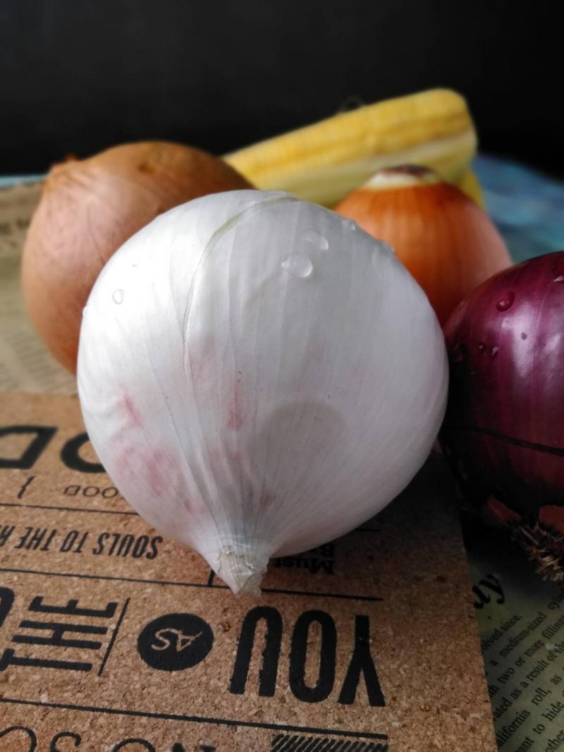 學員拍攝自家的洋蔥和玉米