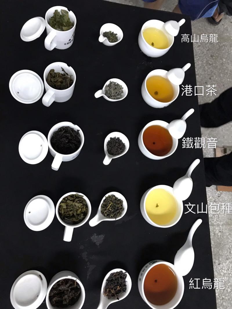 老師果然很專業，教大家評鑑杯泡法