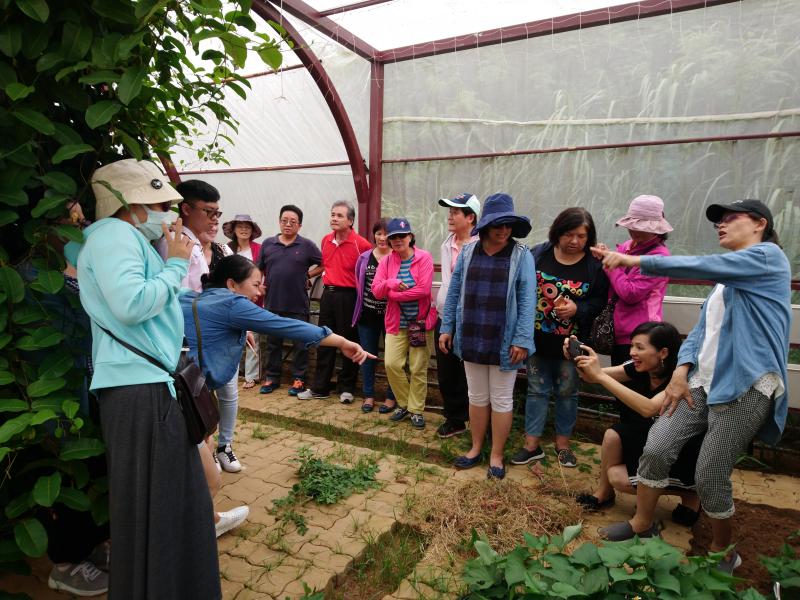 戶外實地拍攝，知道光影變化，要站在哪裡拍較好，並能拍出好相片