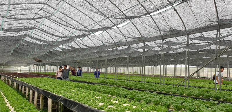 DOC 學員前往在地農場討論與拍照取景