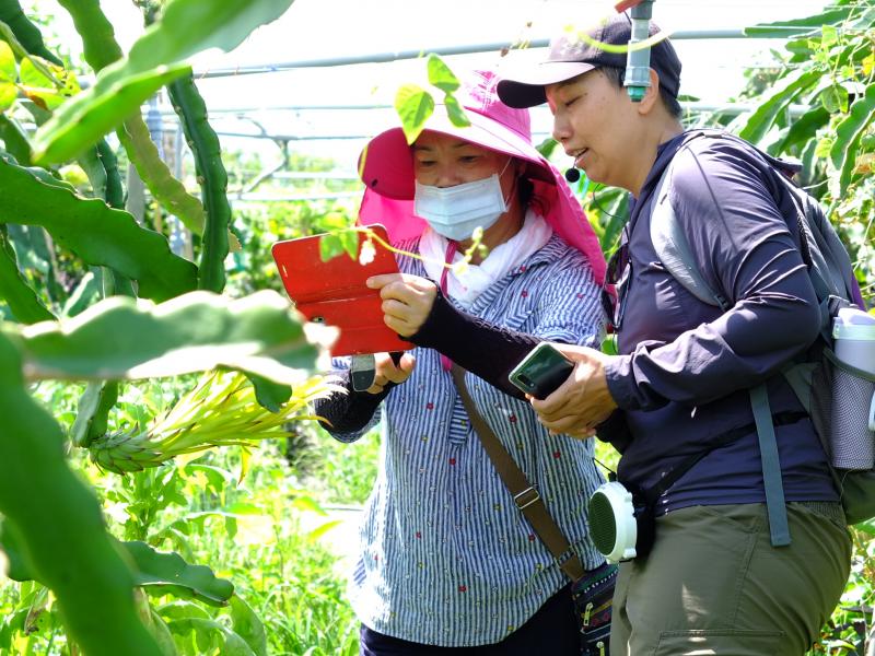 外拍時刻，挑戰豔陽天下的亮度反差