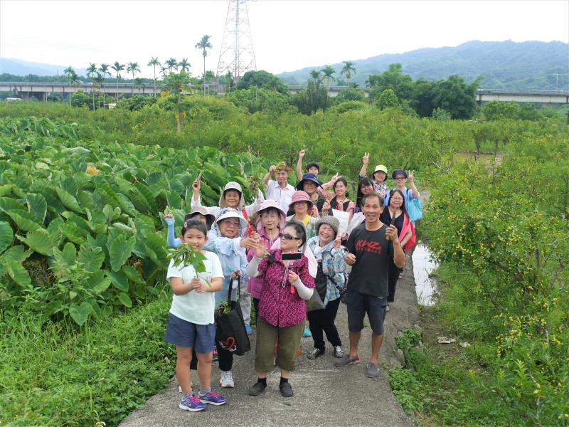 林芝宇老師帶領公館 DOC 的學員，了解百草的面貌與功能，從辨識開始認識植物的類別，讓雜草不再是無臉的陌生風景。
