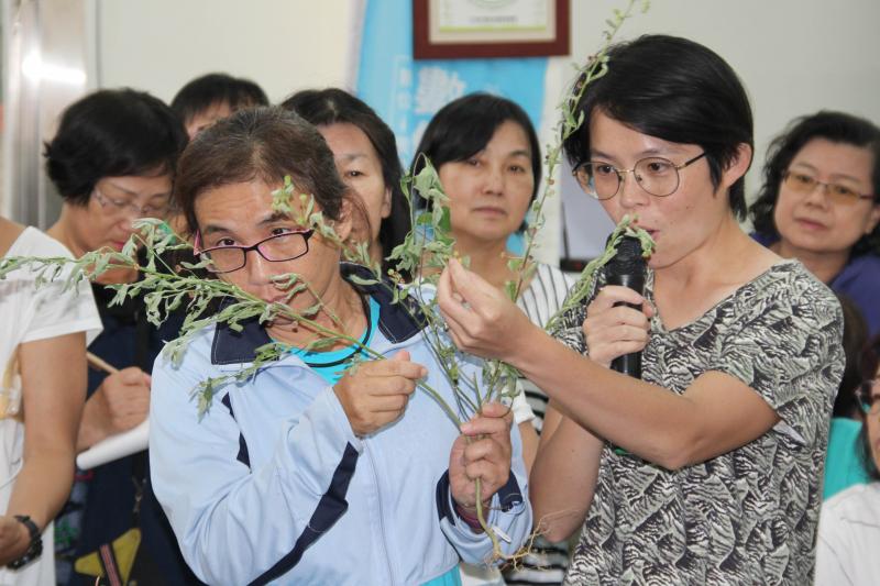 芎林土地配方雜草整理