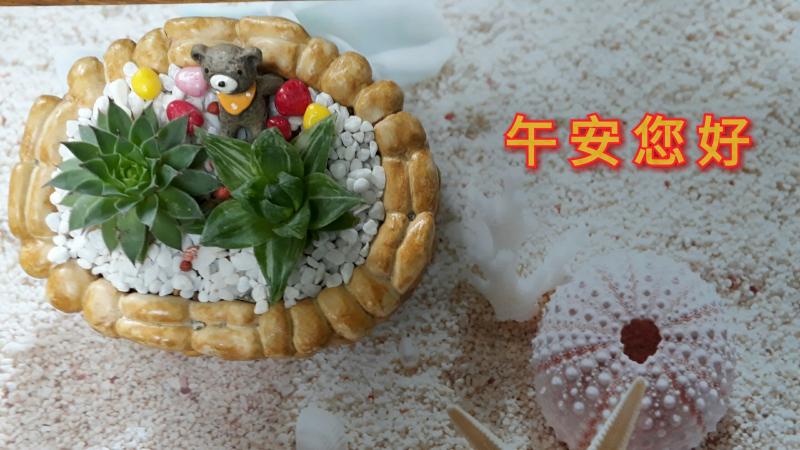 學員學習影片上字的方法，在蛋糕上寫午安你好。