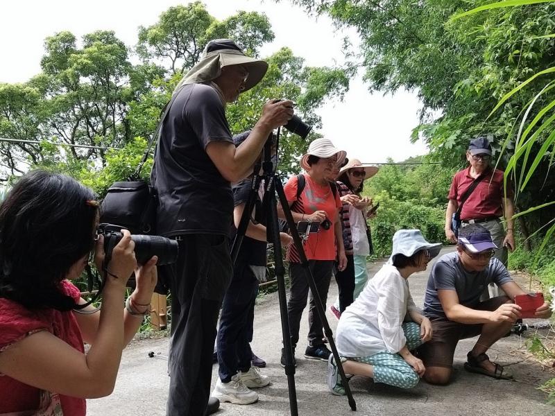 特寫鏡頭，要清晰效果一定要靠近物品拍出特寫。