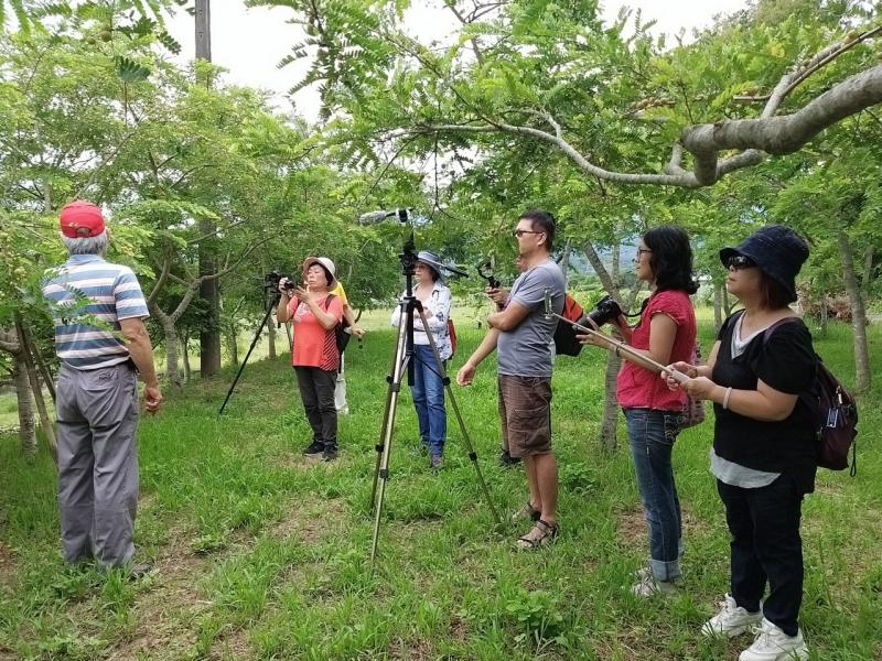 結實累累得油甘，用有機栽種，是很棒的食材或零食。