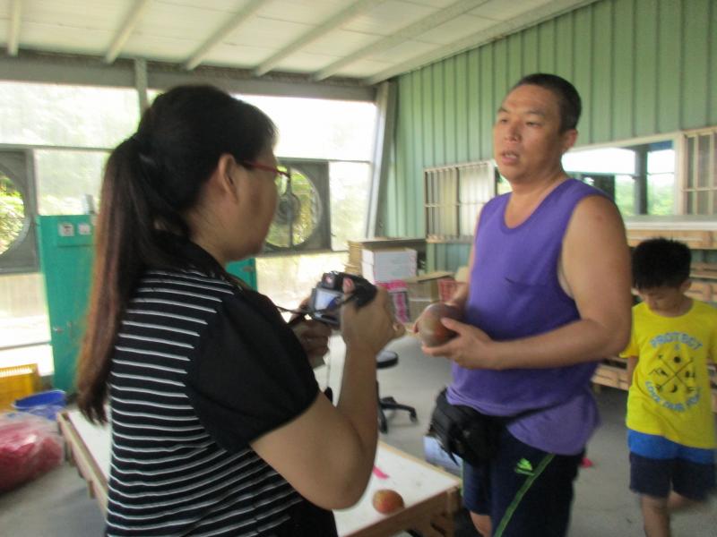 愛文芒果乾影像拍攝腳本企劃 現場訪問種植心得