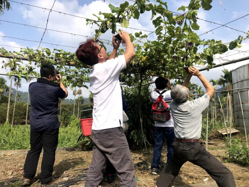 遊程影像紀錄及剪輯專班課程，學員到果園拍攝影片素材