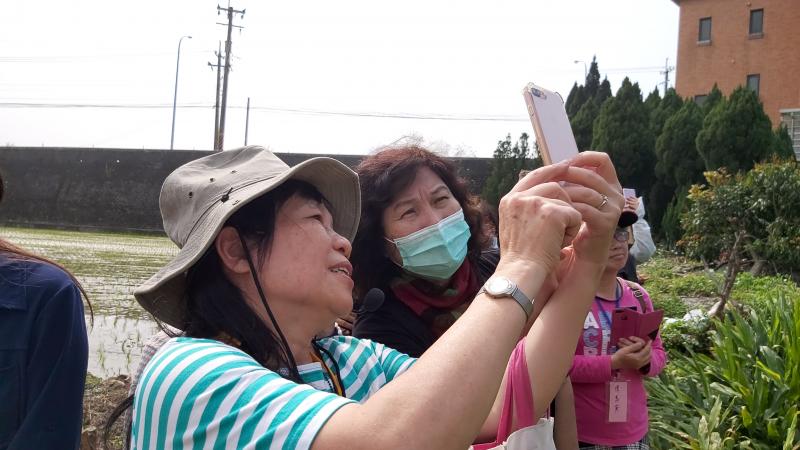 講師楊恩菊帶領學員用形色APP分辨月桃、野薑花等薑科植物。