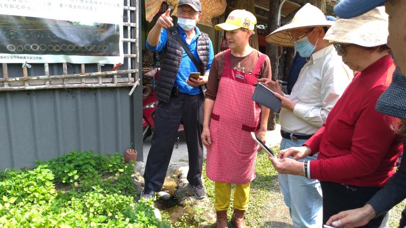 老師介紹園內的各種野菜，以及野菜中富含的元素與使用方式