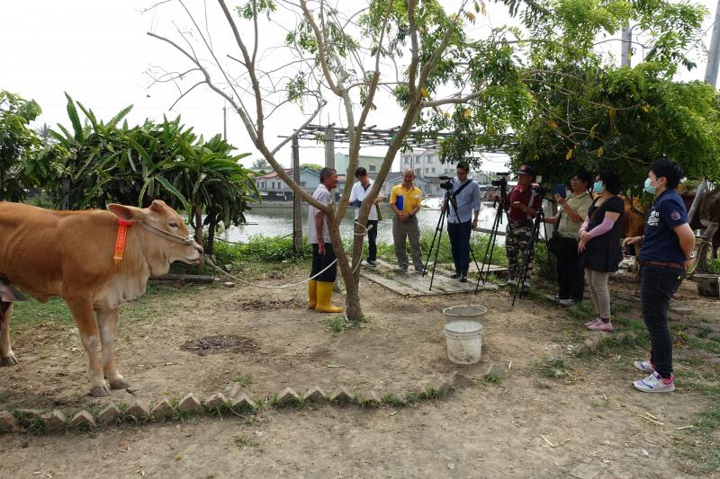 報馬牛組到飼主家訪問及拍照