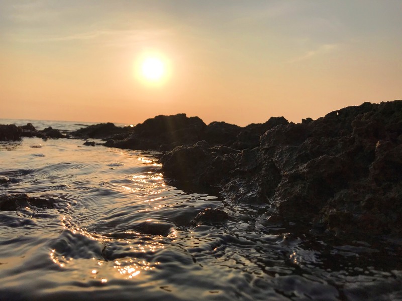 學員-陳美珠 作品