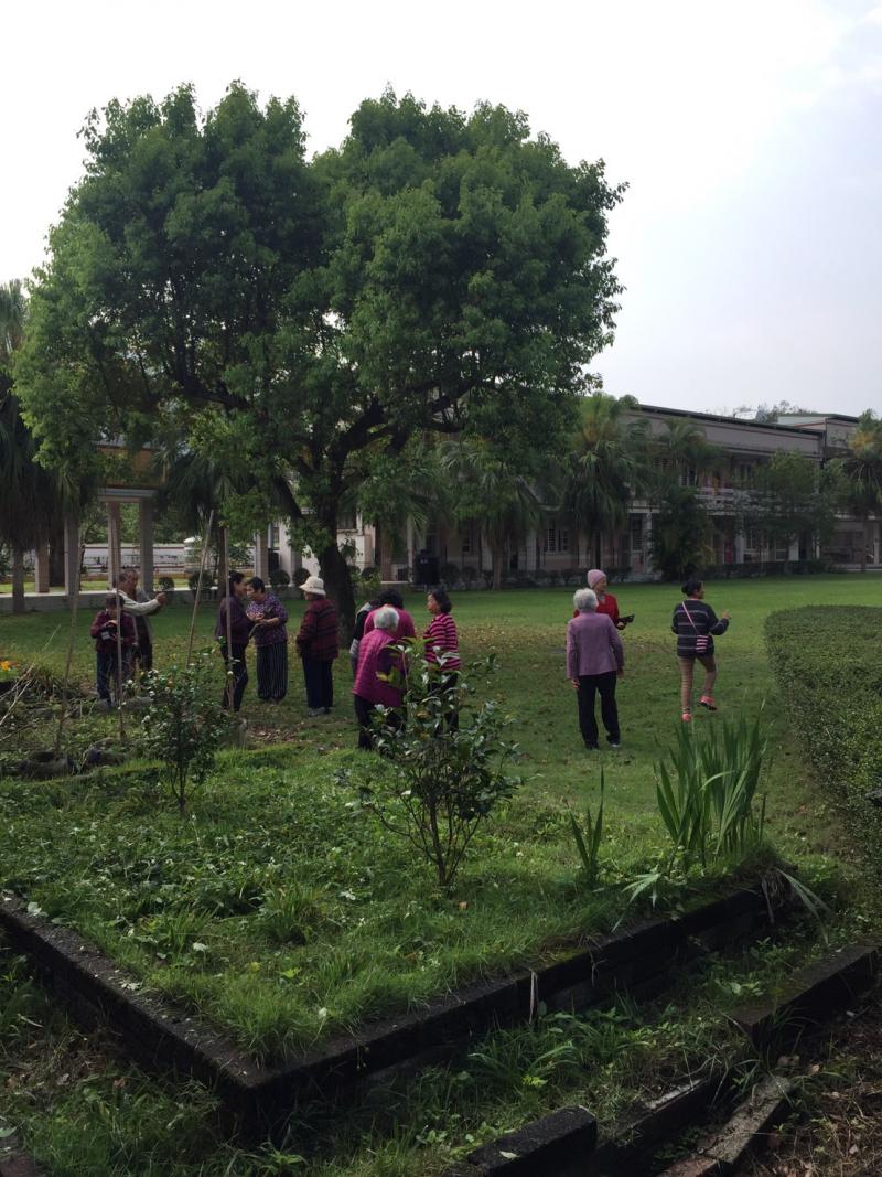 戶外拍攝人像與植物