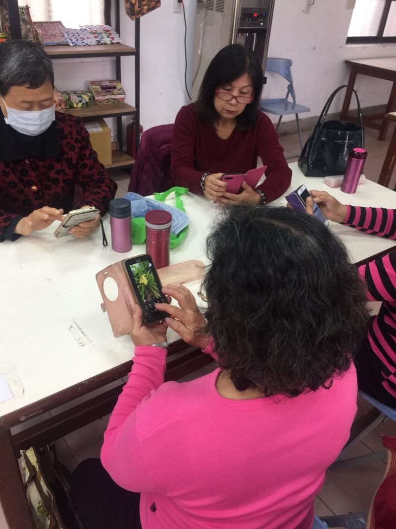 練習修圖與植物辨識app