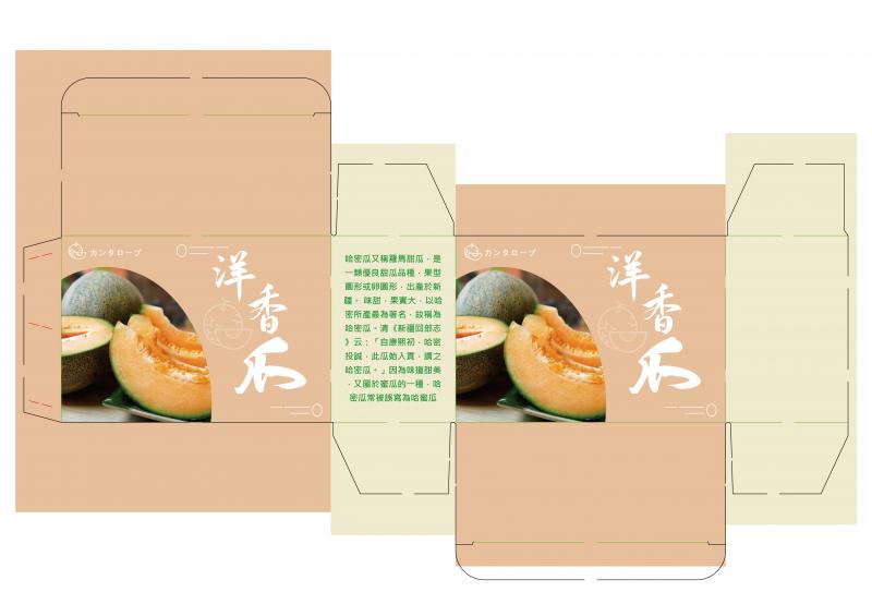 有設計基礎的學員，快速跟上教學進度，完成洋香瓜的設計稿。