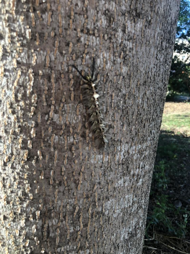 什麼是順光??你看出來了嗎?