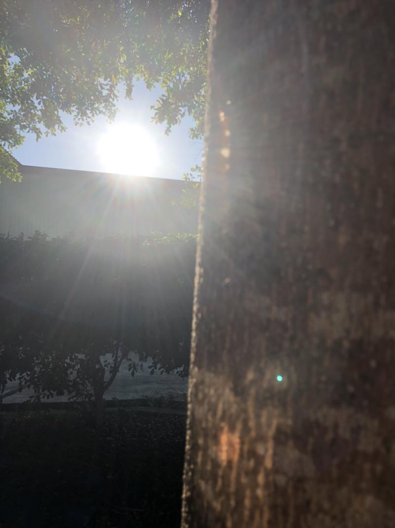 什麼是逆光??拍攝的時候也要注意唷