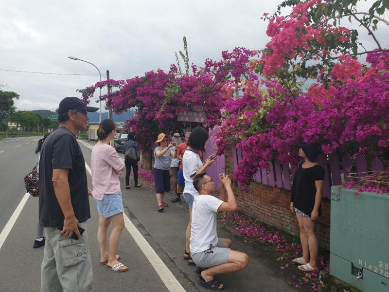 旅遊途中安排一處賞花地點大家拍得很開心