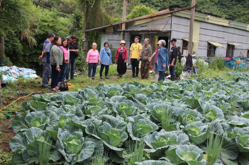 講師帶領學員到戶外進行雜草採集前，先帶同學靜心，跟土地打招呼，放慢身心。