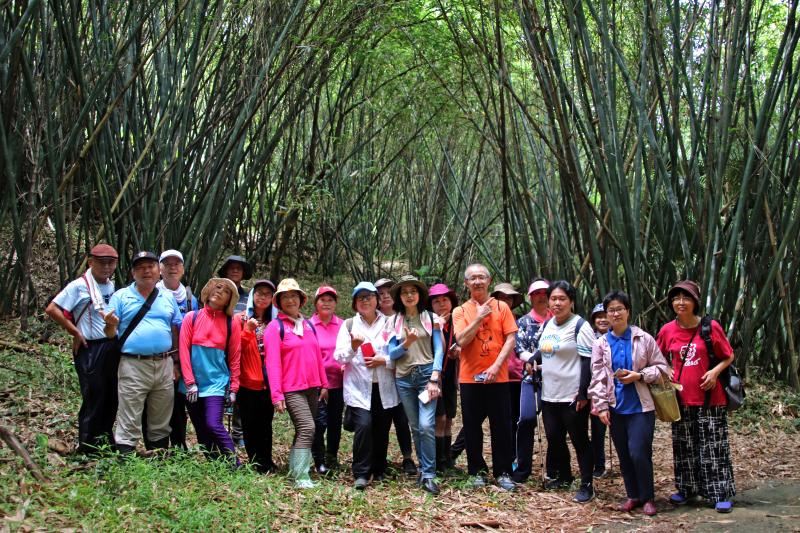 埤塘窩古道裡竹林合影。