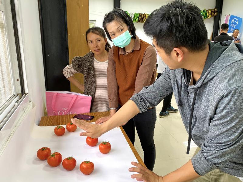 講師用心給予學員拍攝番茄的教學及建議