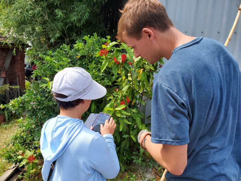 學員實際利用教室外植物操作app辨識植物