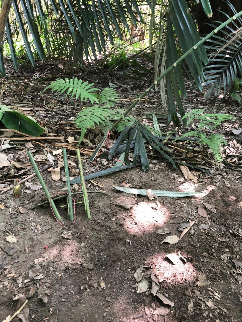 學員製作狩獵陷阱成品