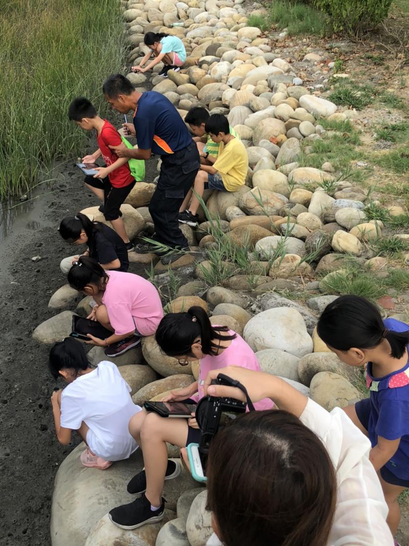 用平板與相機拍攝螃蟹剪輯素材