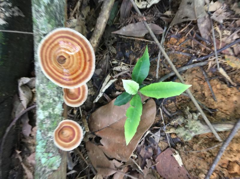 淑麗學員上課拍攝的優秀作品