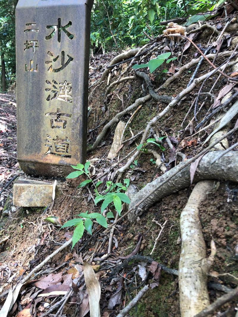 東生學員上課拍攝的優秀作品