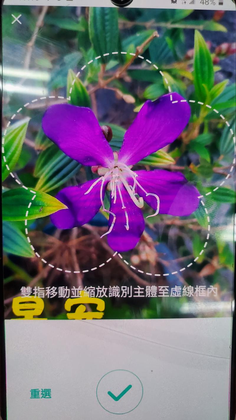 數位線上莊園，指導學員用形色、google鏡頭等app辯識植物，用意是計畫做社區環境美化，即使是植物照片也可以辨識。