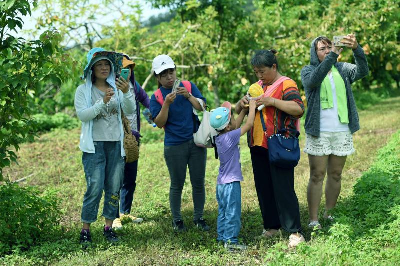 學員運用手機練習拍攝
