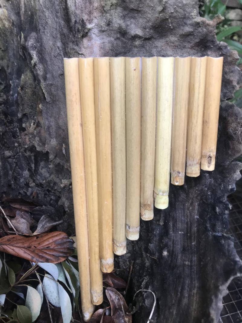 採集竹子處理加工後竹的作品