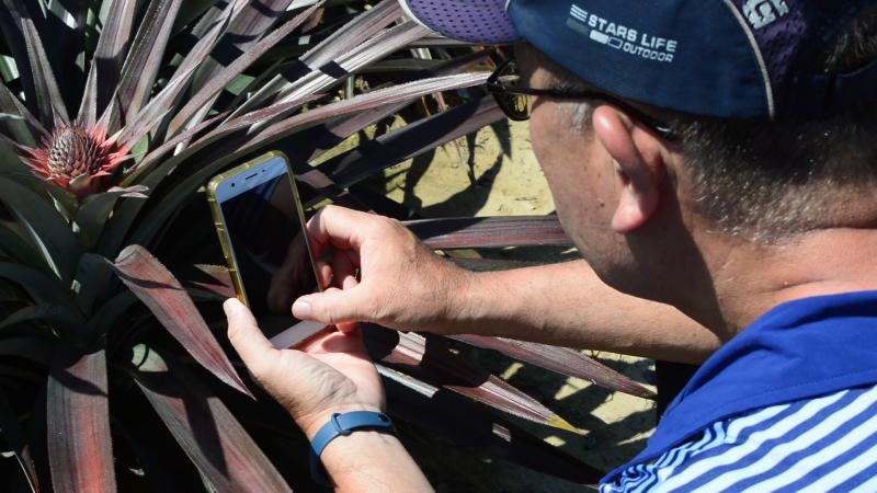 學員練習拍鳳梨花