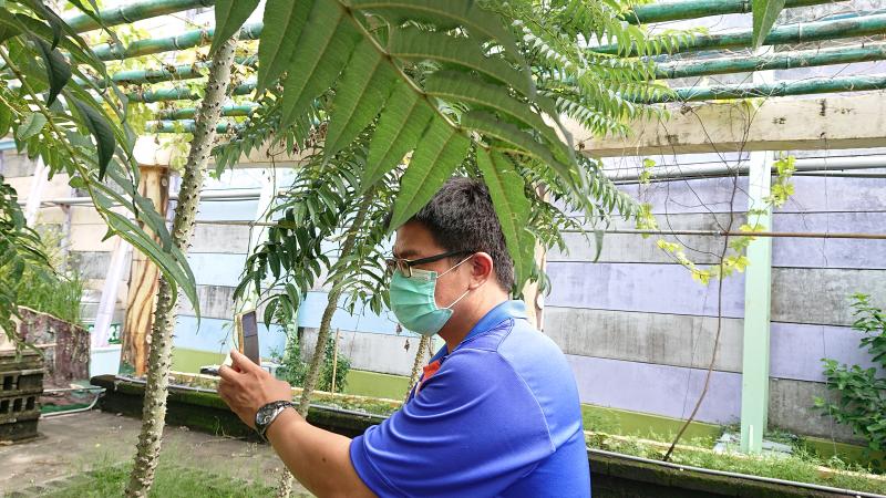 學員練習手機微距取景