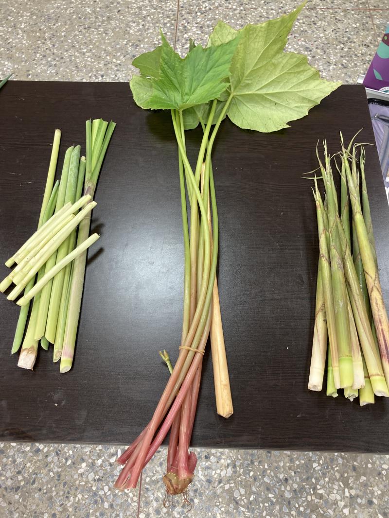 長輩練習相機拍攝紀錄各種食材1