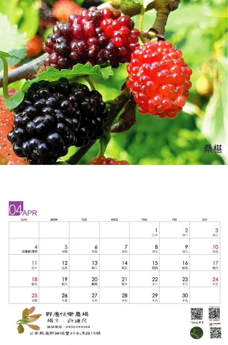學員許建民月曆製作-桑葚-成果圖