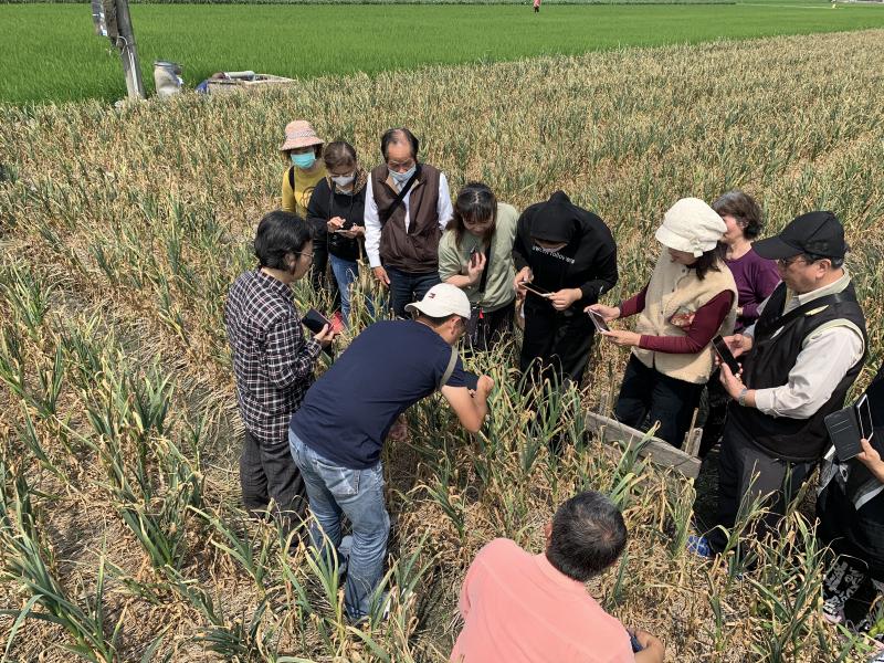 學員實際到戶外蒜頭田拍攝照片