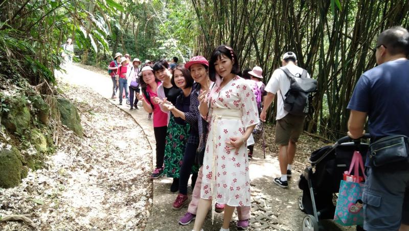 很可惜原本開得滿山的桐花，開課前一週下大雨，花落滿地、樹上花的數量少很多