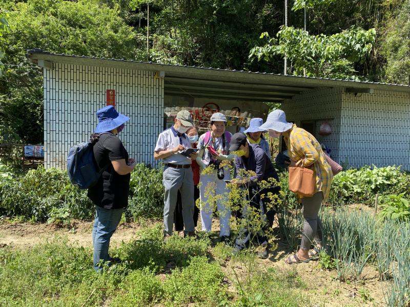 認真拍攝花卉的學員與老師們