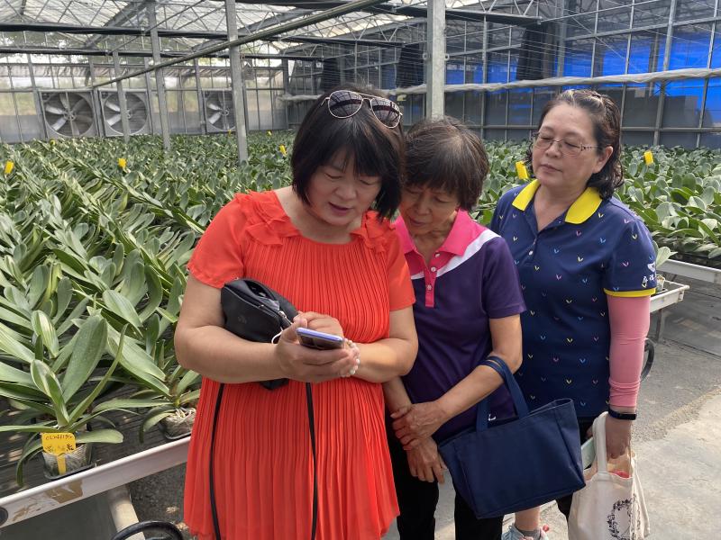 學員透過手機查詢目前線上花苗的智慧培育系統