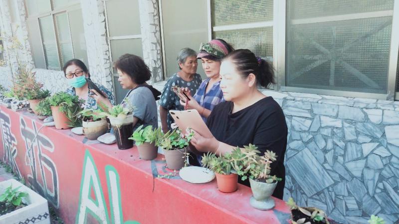 學員們到戶外實際操作APP，看見平常所見的植物，都可以透過APP快速認識